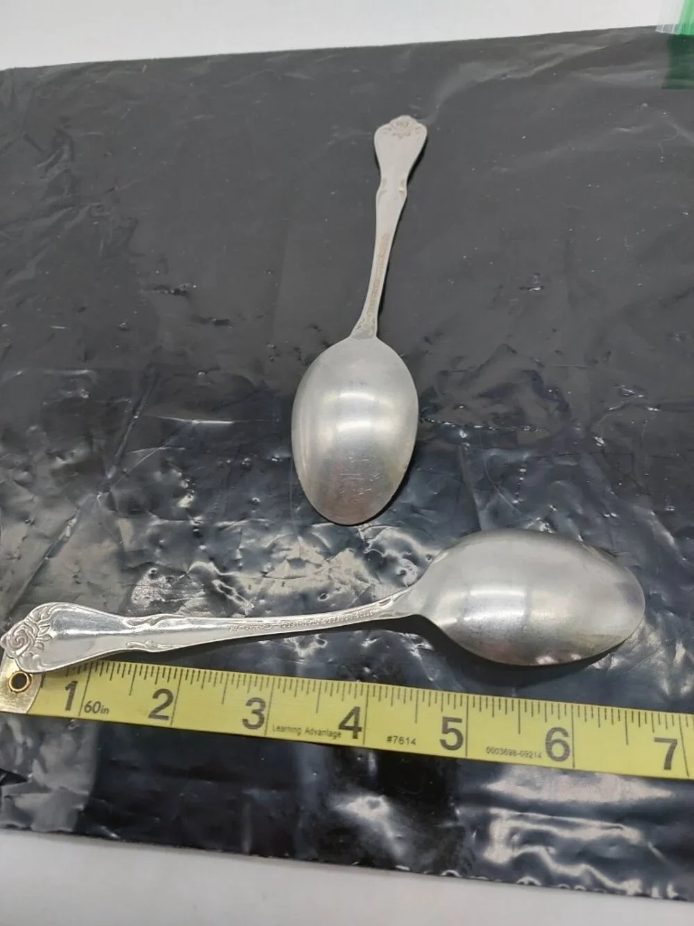 1881 Rogers Oneida 2 Spoons True Rose Arbor